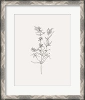 Framed 'Wild Foliage Sketch I' border=