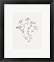 Framed 'Wild Foliage Sketch III' border=