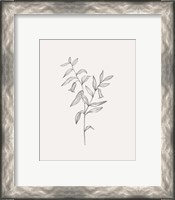 Framed 'Wild Foliage Sketch IV' border=