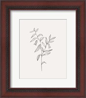 Framed Wild Foliage Sketch IV