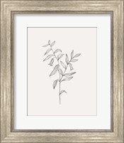 Framed Wild Foliage Sketch IV