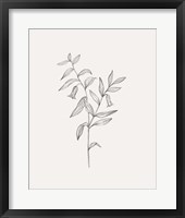 Wild Foliage Sketch IV Framed Print
