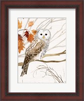 Framed Harvest Owl I