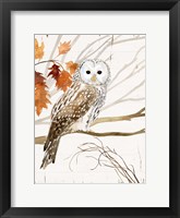 Framed Harvest Owl I