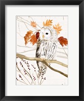 Framed Harvest Owl II