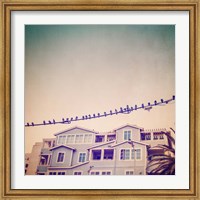 Framed Birds on Wires I
