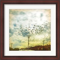 Framed Birds on Wires V