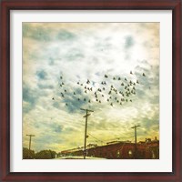 Framed Birds on Wires V