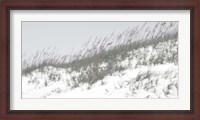 Framed Lush Dunes I