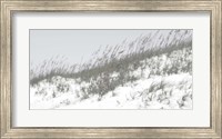 Framed Lush Dunes I