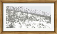 Framed Lush Dunes II