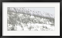 Framed Lush Dunes II