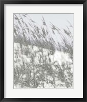 Framed Lush Dunes III