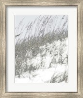 Framed Lush Dunes IV