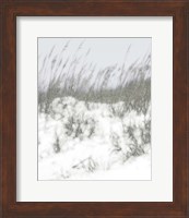 Framed Lush Dunes V
