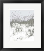 Framed 'Lush Dunes V' border=