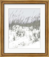 Framed Lush Dunes V