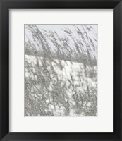 Framed Lush Dunes VI