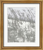 Framed Lush Dunes VI