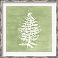 Framed Forest Ferns I