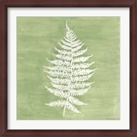 Framed Forest Ferns I