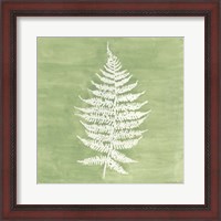 Framed Forest Ferns I