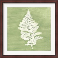 Framed Forest Ferns IV