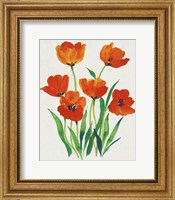Framed Red Tulips in Bloom I