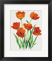 Framed Red Tulips in Bloom I