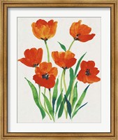 Framed Red Tulips in Bloom I