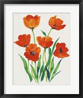 Framed 'Red Tulips in Bloom I' border=