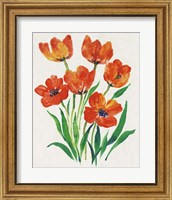 Framed 'Red Tulips in Bloom II' border=