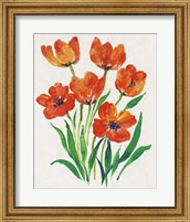 Framed Red Tulips in Bloom II