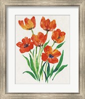 Framed Red Tulips in Bloom II