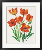 Framed Red Tulips in Bloom II