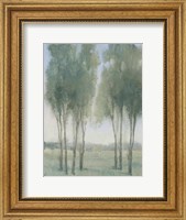 Framed Tree Grove I