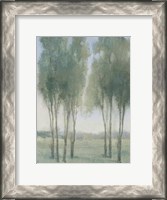 Framed Tree Grove I