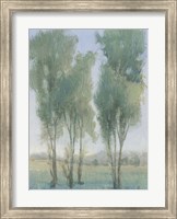 Framed Tree Grove II