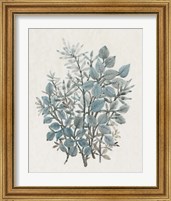 Framed 'Leaf Arrangement I' border=