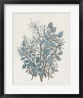 Leaf Arrangement I Framed Print