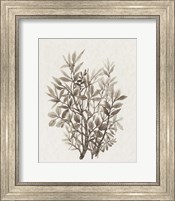 Framed Leaf Arrangement IV