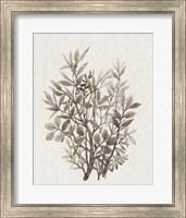 Framed Leaf Arrangement IV