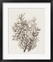 Leaf Arrangement IV Framed Print