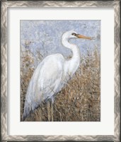 Framed White Heron I