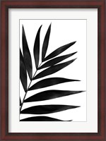 Framed Black Palms I