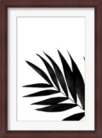 Framed Black Palms II