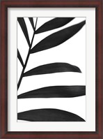 Framed Black Palms V
