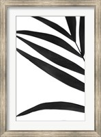 Framed Black Palms VI