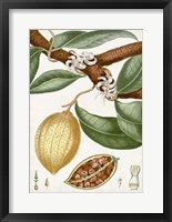 Framed Turpin Tropical Fruit II