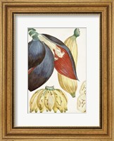 Framed Turpin Tropical Fruit VII